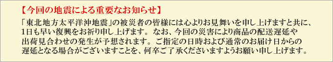 東北地方太平洋沖地震対応