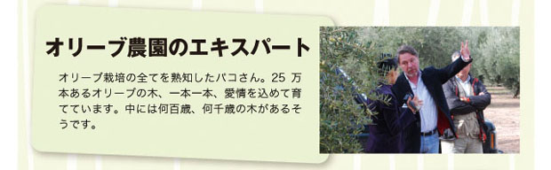 オリーブ農園のエキスパート