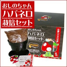 おしのちゃんハバネロ栽培セット