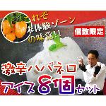 激辛ハバネロのアイスクリーム８個セット