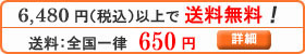 お支払い方法・送料の詳細
