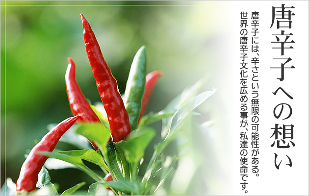 唐辛子への想い